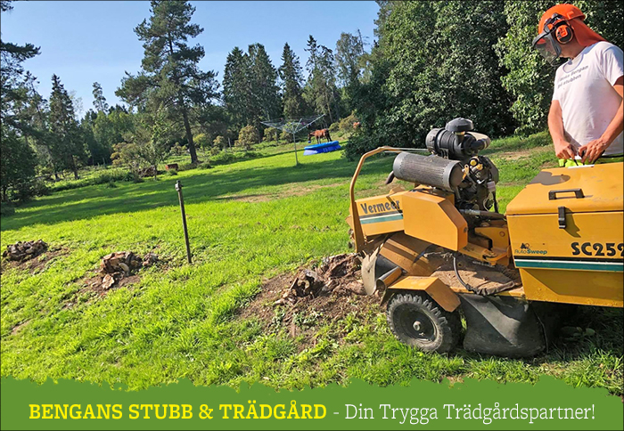 Stubbfräsning Sollefteå | Bengans Stubb & Trädgård