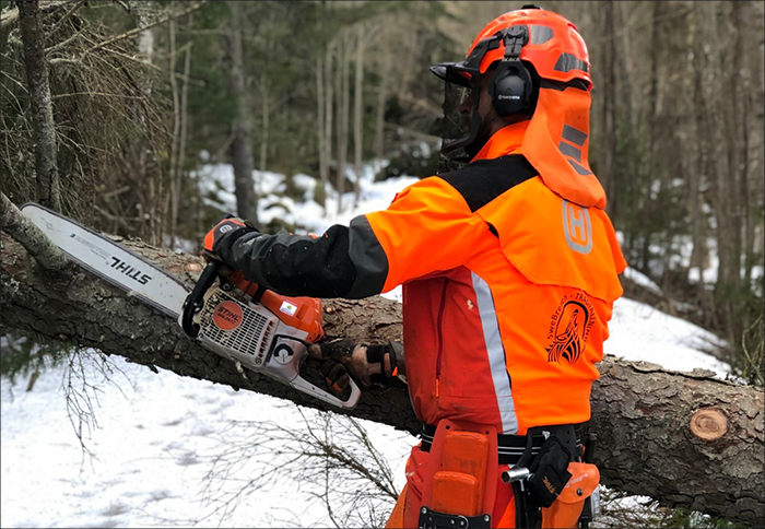 Trädfällning Karlstad | SweBreach AB