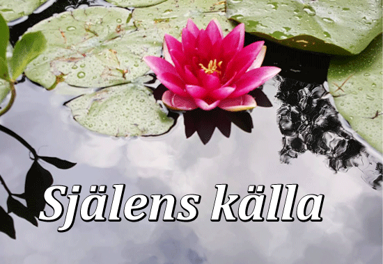 Medium i Växjö | Själens källa