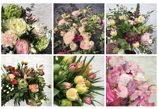 Blommor i Höör