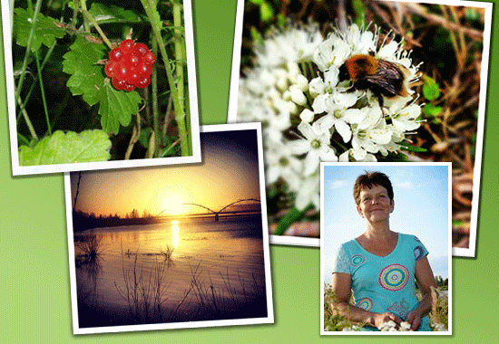 Ayurveda i Luleå | Anki's Ayurveda