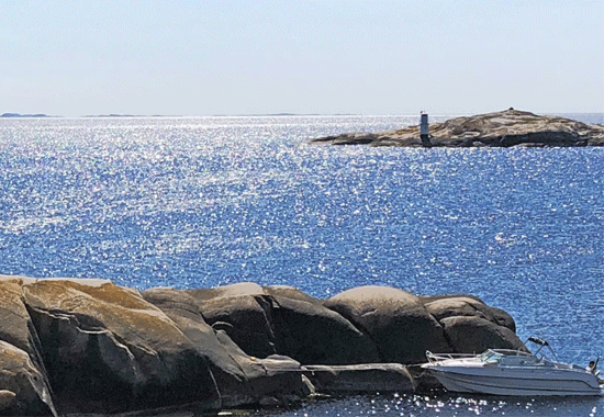 Hantverkare Uddevalla | Bohusläns Seniortjänst AB