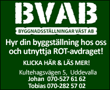 BVAB