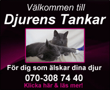 d- http://www.djurenstankar.se/news_1.html